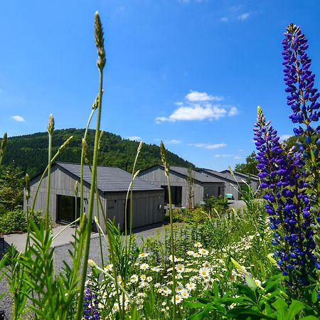 Sauerland Lodge - Haus Maxim وينتربرغ المظهر الخارجي الصورة