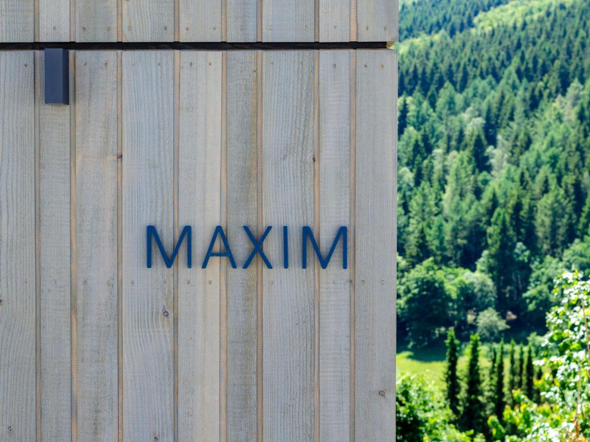 Sauerland Lodge - Haus Maxim وينتربرغ المظهر الخارجي الصورة