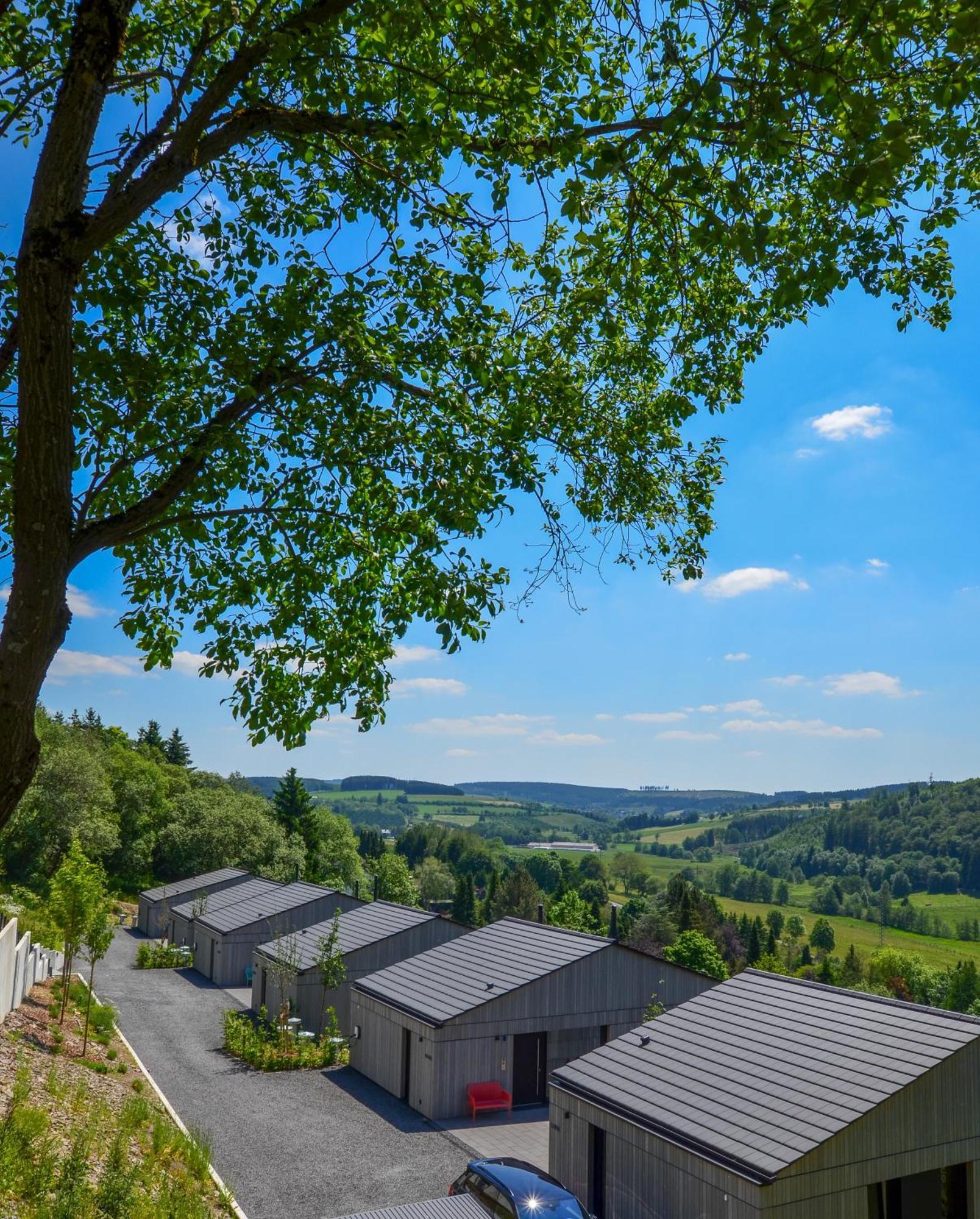 Sauerland Lodge - Haus Maxim وينتربرغ المظهر الخارجي الصورة
